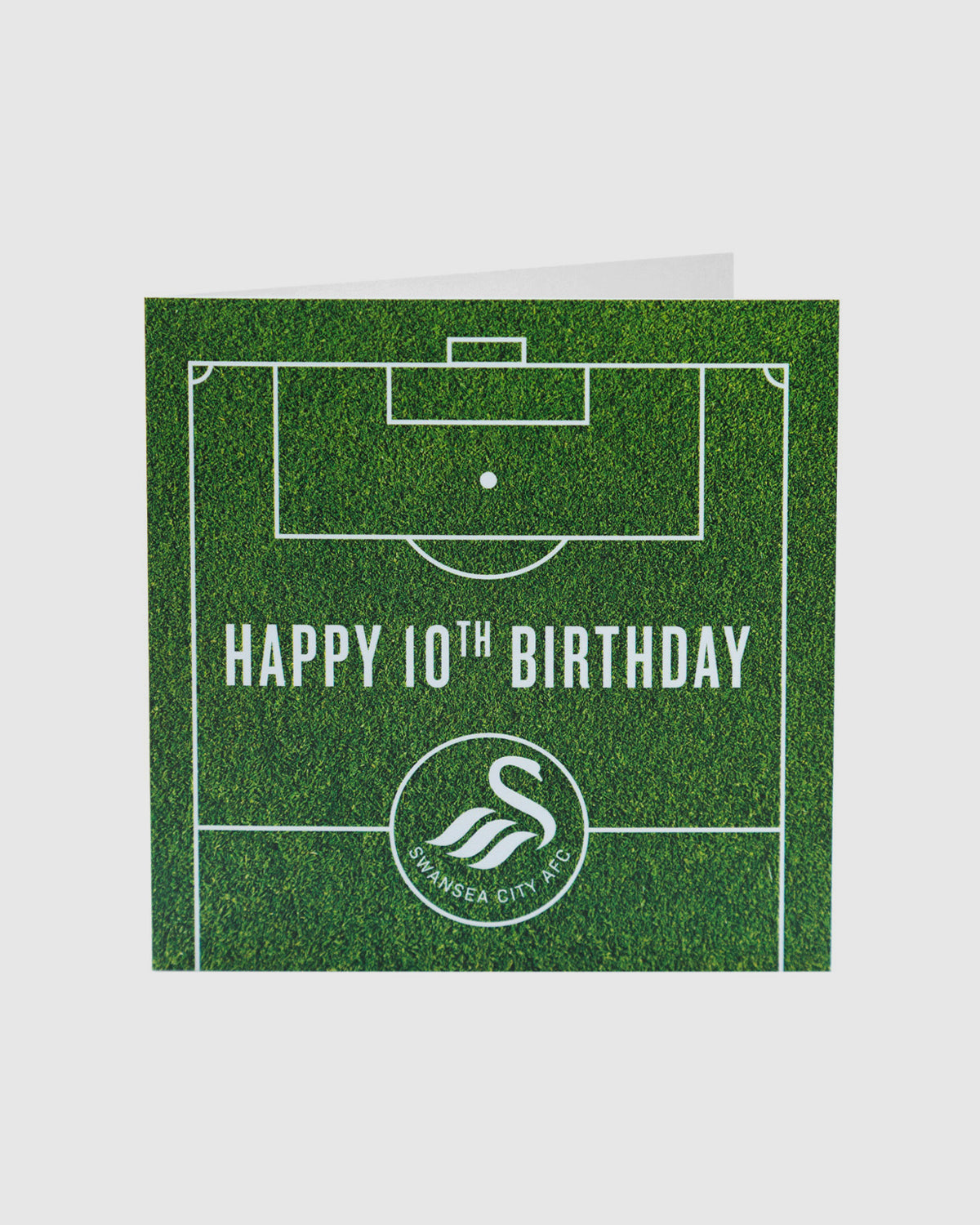 Swans Happy 10th Birthday Card