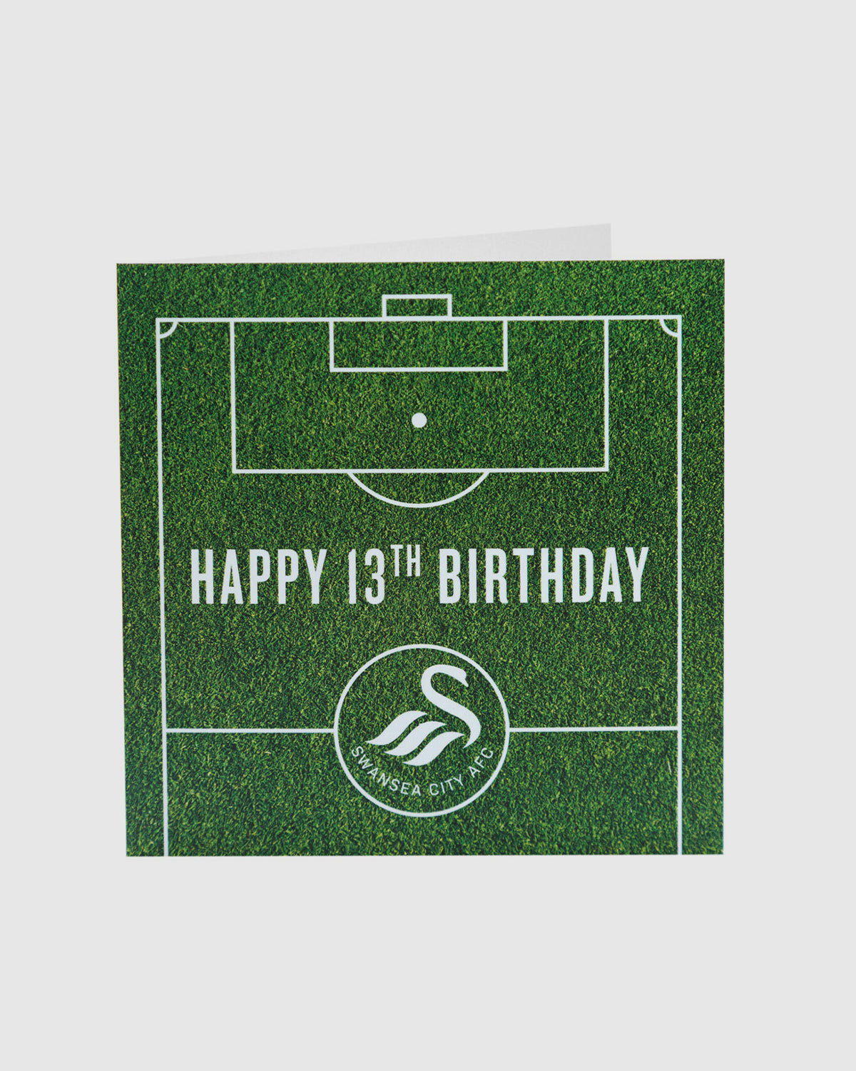 Swans Happy 13th Birthday Card