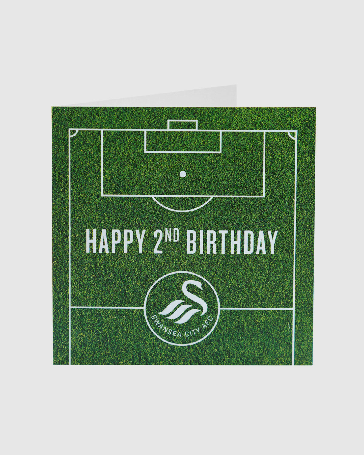 Swans Happy 2nd Birthday Card