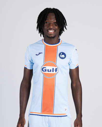 Adult Third Shirt 2025/26